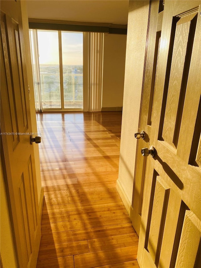 1351 NE Miami Gardens Dr Unit 1403E, Miami, FL 33179 - hall featuring light wood-type flooring