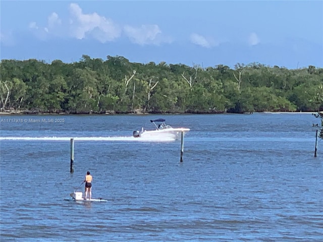 water view