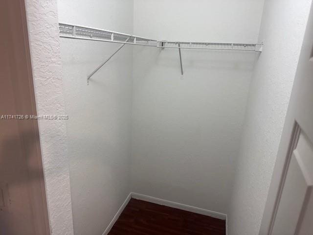 walk in closet featuring dark hardwood / wood-style flooring