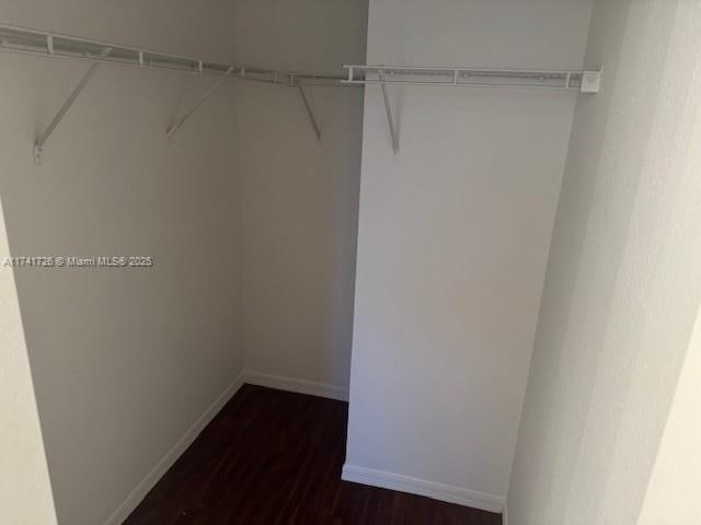 walk in closet with dark wood-type flooring