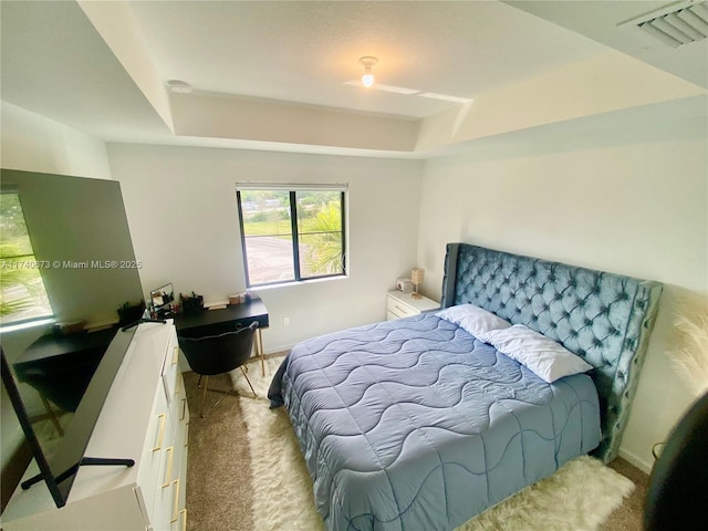 carpeted bedroom featuring a tray ceiling