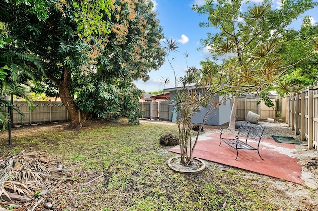 view of yard featuring a shed and a patio area