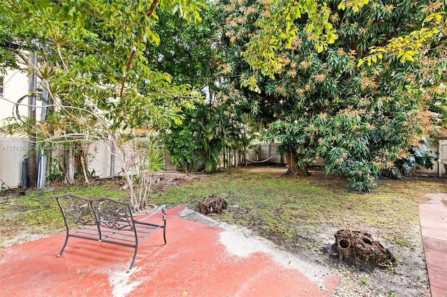 view of yard with a patio area