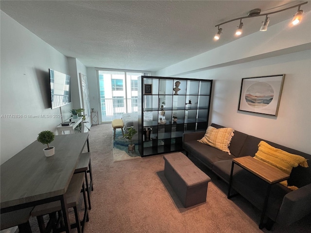 living room featuring expansive windows, rail lighting, carpet floors, and a textured ceiling