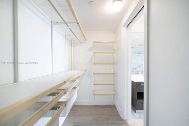 spacious closet with light hardwood / wood-style flooring