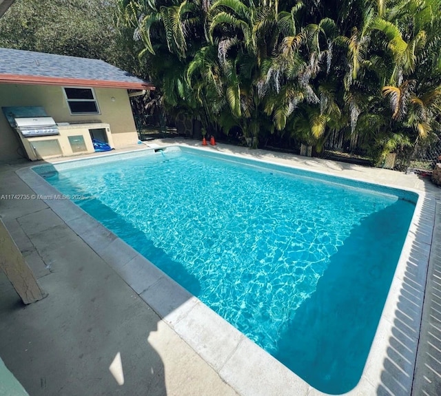 view of pool featuring exterior kitchen