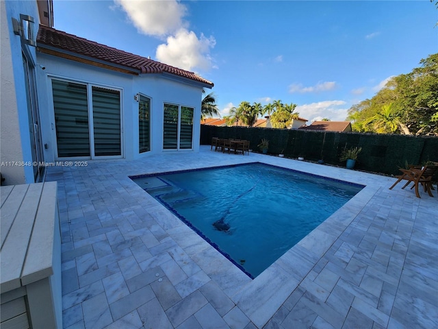 view of swimming pool with a patio