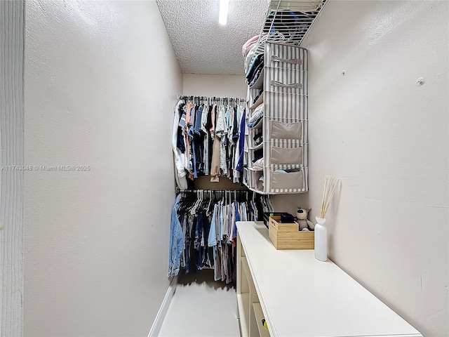 view of spacious closet