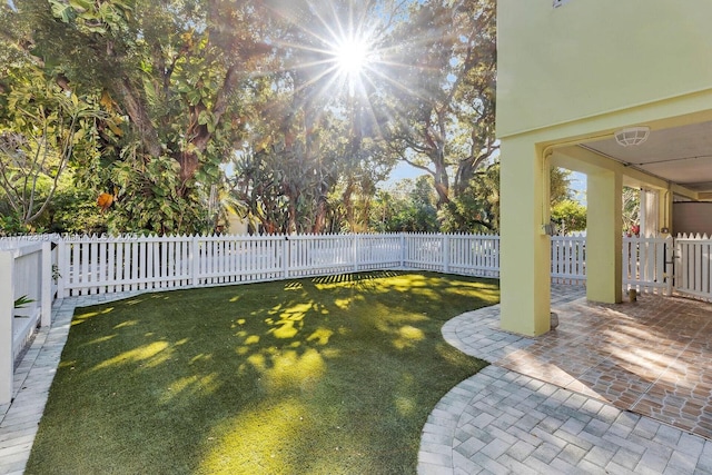 view of yard featuring a patio area and a fenced backyard