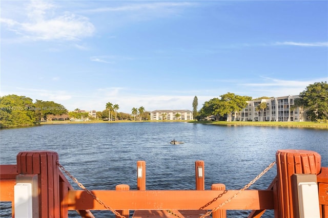 dock area with a water view