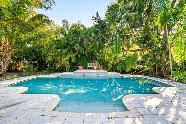 view of swimming pool featuring a patio area