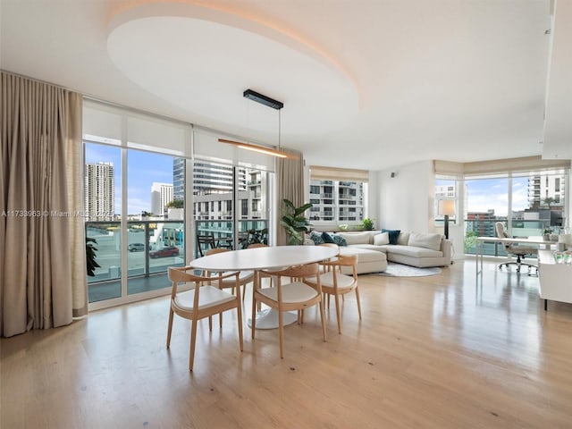 dining room with expansive windows and light hardwood / wood-style flooring