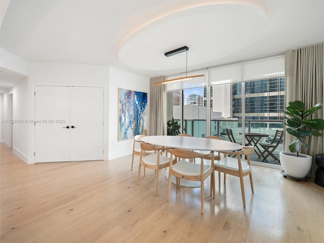 dining room with floor to ceiling windows and light hardwood / wood-style flooring