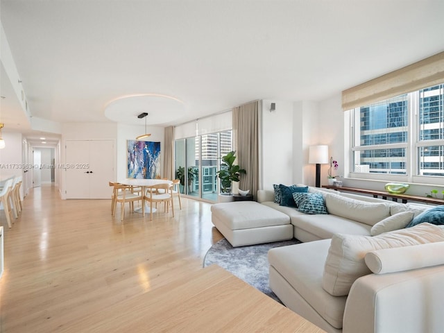 living room featuring light wood-type flooring