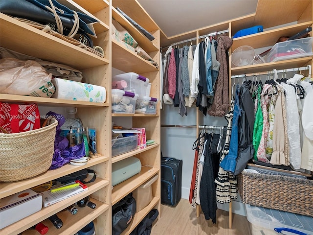 spacious closet with light wood-type flooring