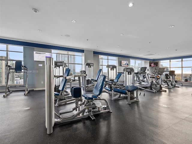 workout area with plenty of natural light