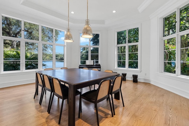 dining area featuring a healthy amount of sunlight, ornamental molding, a tray ceiling, and light hardwood / wood-style flooring