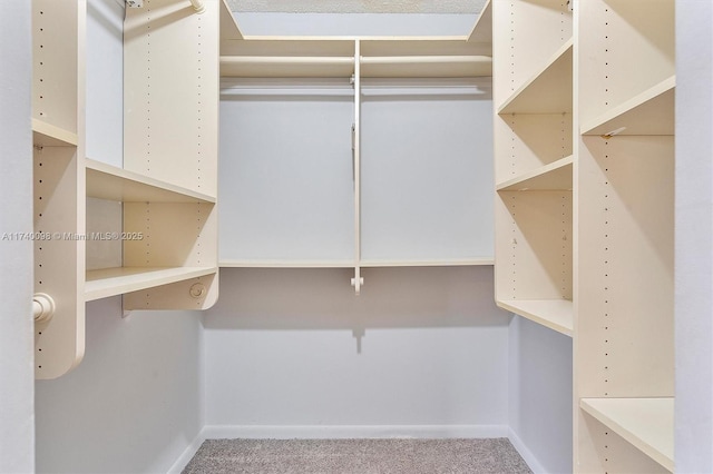 walk in closet with carpet floors