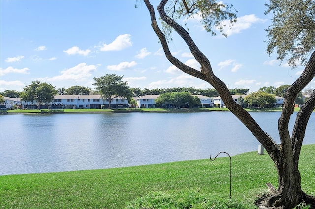 water view with a residential view