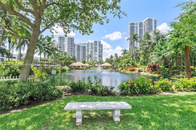 water view featuring a view of city