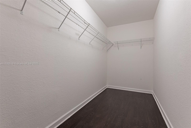 spacious closet featuring dark hardwood / wood-style flooring