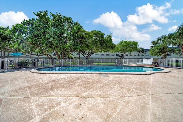 view of pool with a patio