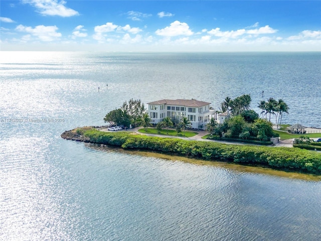 650 Lugo Ave, Coral Gables, FL 33156 - property view of water