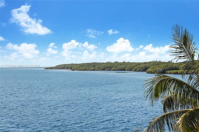 650 Lugo Ave, Coral Gables, FL 33156 - property view of water with a forest view