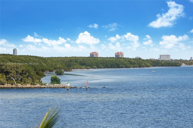 650 Lugo Ave, Coral Gables, FL 33156 - property view of water
