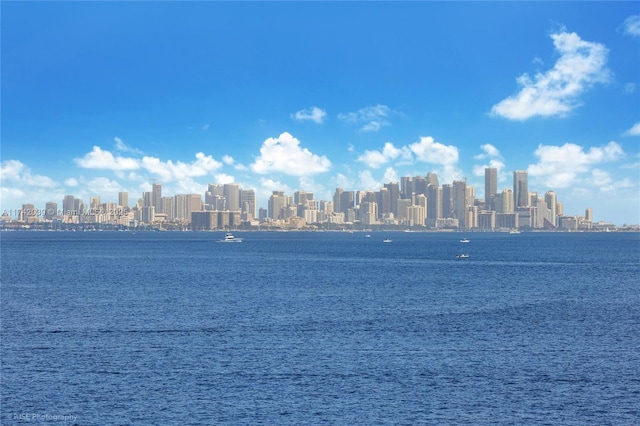 650 Lugo Ave, Coral Gables, FL 33156 - property view of water with a view of city