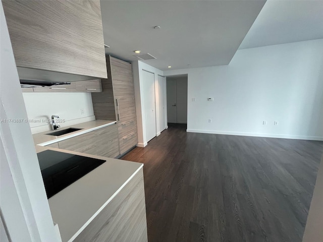 kitchen with dark hardwood / wood-style flooring, sink, and black stovetop