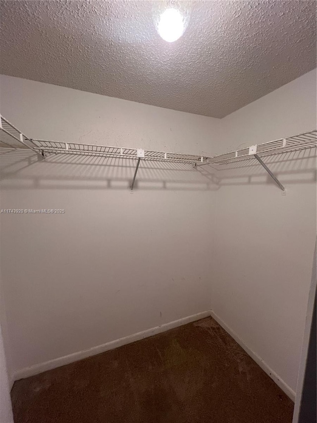 walk in closet featuring carpet flooring