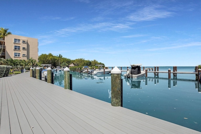 dock area with a water view