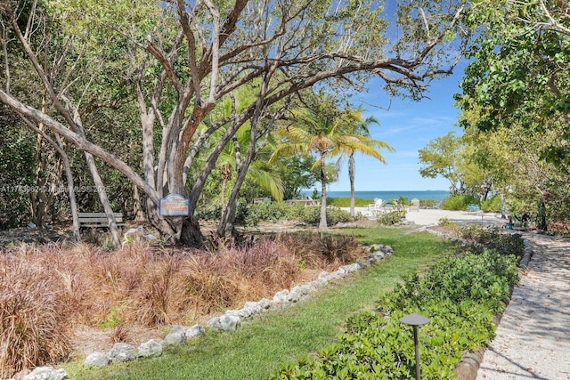 view of yard featuring a water view