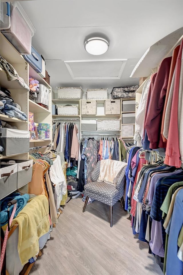 spacious closet with light hardwood / wood-style floors