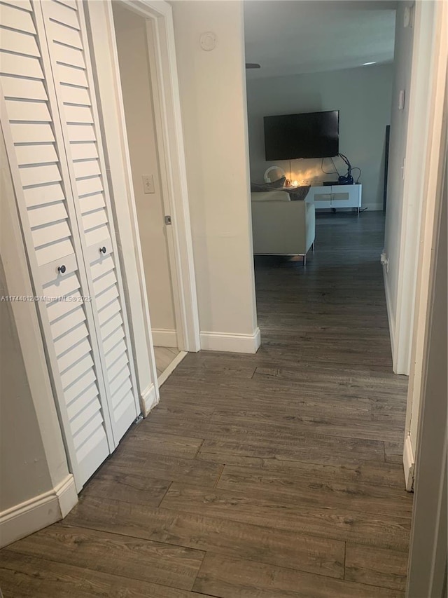 hallway featuring dark hardwood / wood-style flooring