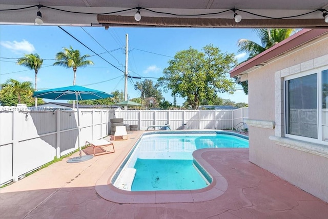 view of pool featuring a patio area