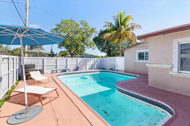 view of pool featuring a patio