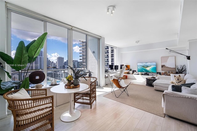 living room featuring expansive windows and light wood-type flooring