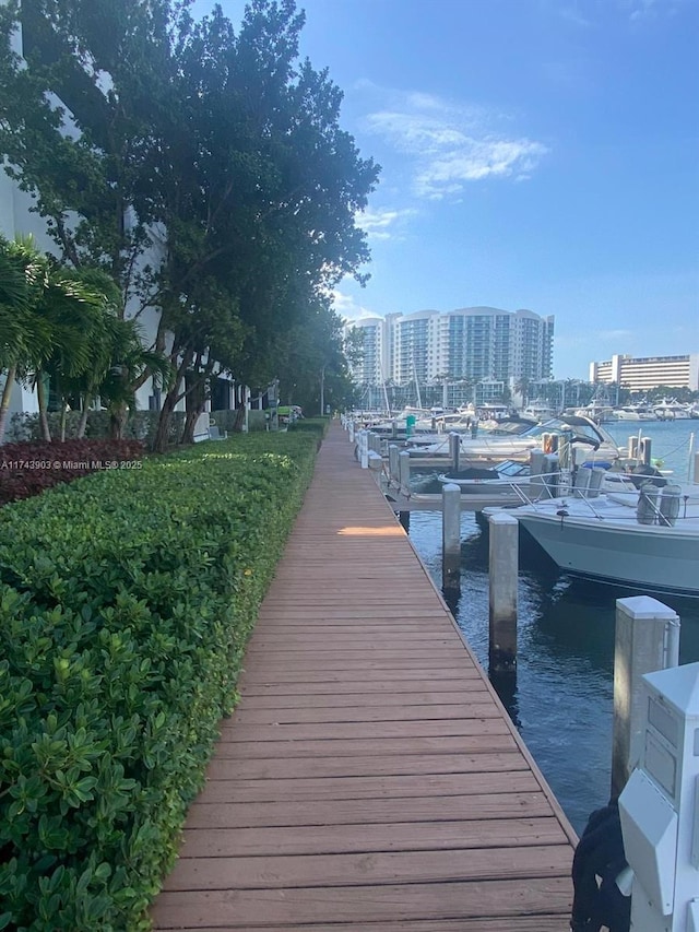 dock area with a water view