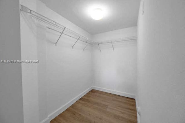 spacious closet featuring hardwood / wood-style flooring