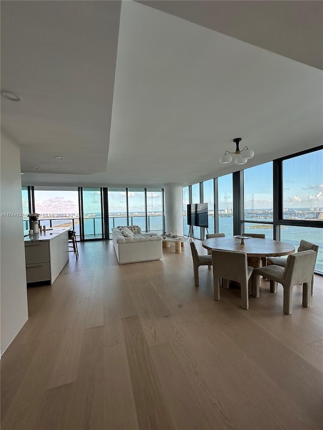 dining space with expansive windows, plenty of natural light, and light hardwood / wood-style flooring