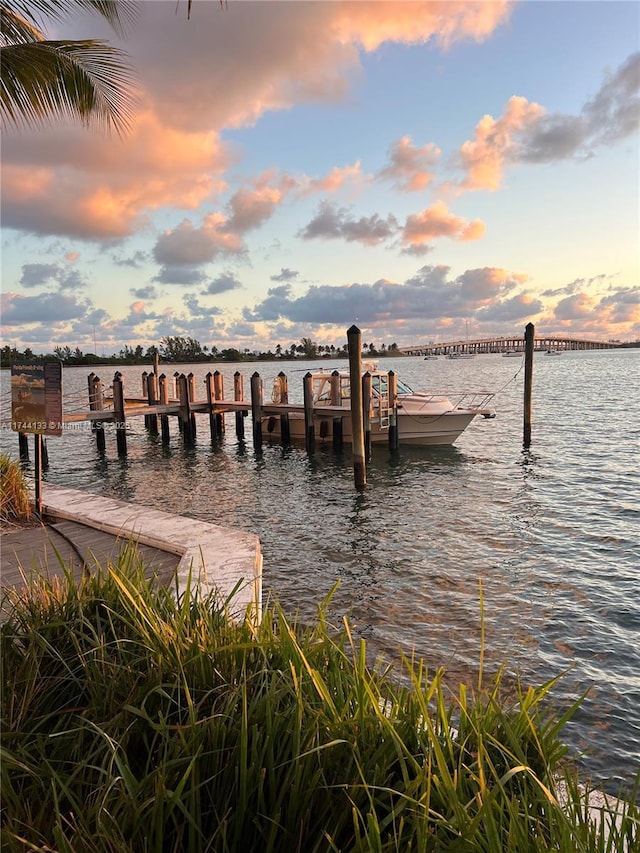 dock area featuring a water view