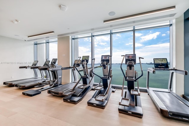 exercise room featuring a wall of windows and wood finished floors