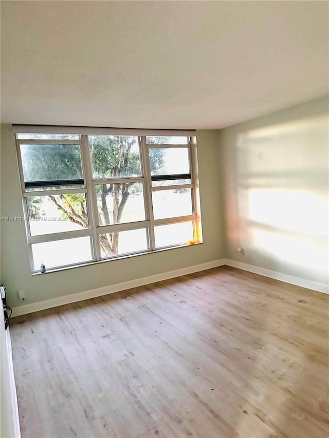 spare room with a wealth of natural light and light wood-type flooring