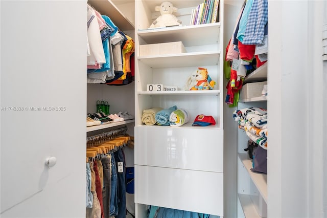 view of spacious closet