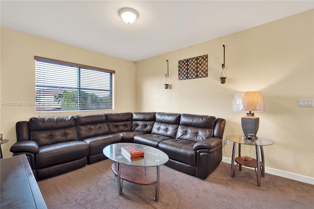 view of carpeted living room