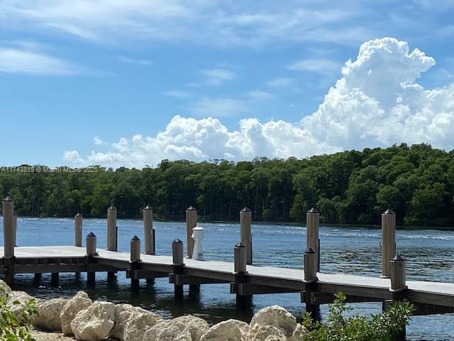 dock area featuring a water view