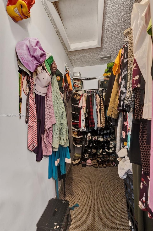 9007 Vineyard Lake Dr Unit 9007, Plantation, FL 33324 - walk in closet with carpet flooring