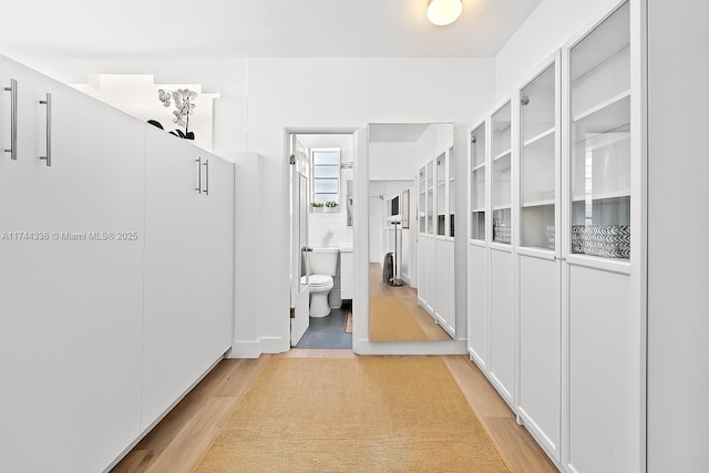 1005 Meridian Ave Unit 7, Miami Beach, FL 33139 - corridor featuring light wood finished floors